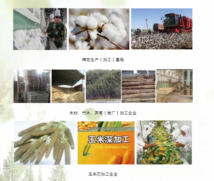 新葡萄8883官网AMG生物产品应用领域