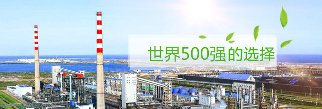 天下500强企业的选择